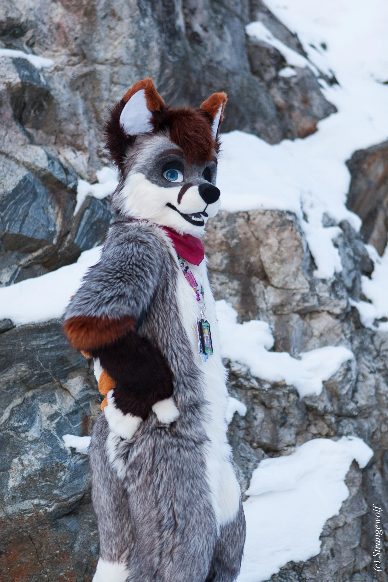 full image IMG_0631-lr19t.jpg