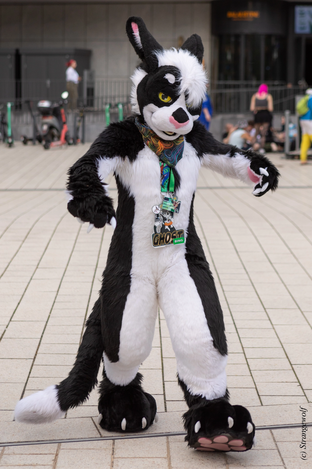 full image 1R3A9175-lr19t.jpg