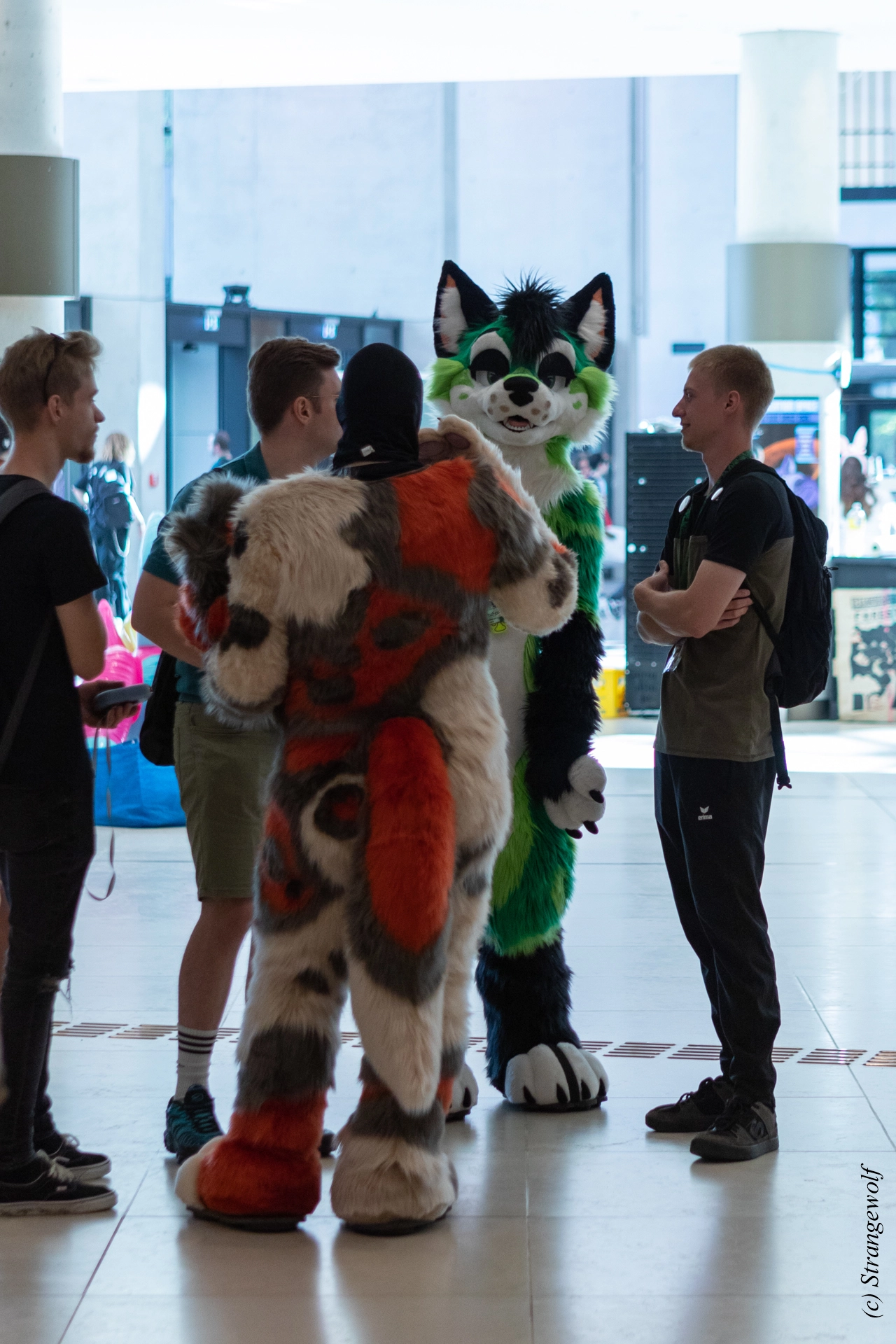 full image 1R3A9214-lr19t.jpg