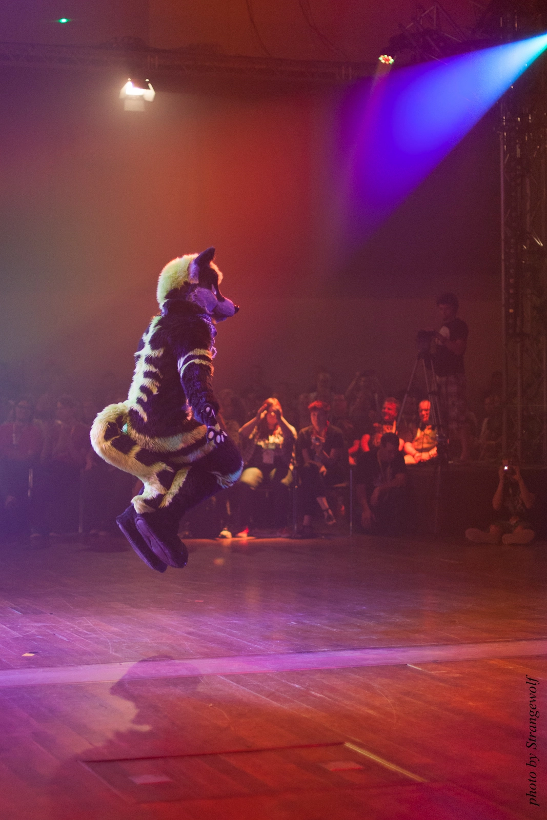 full image IMG_2874-lr16t.jpg