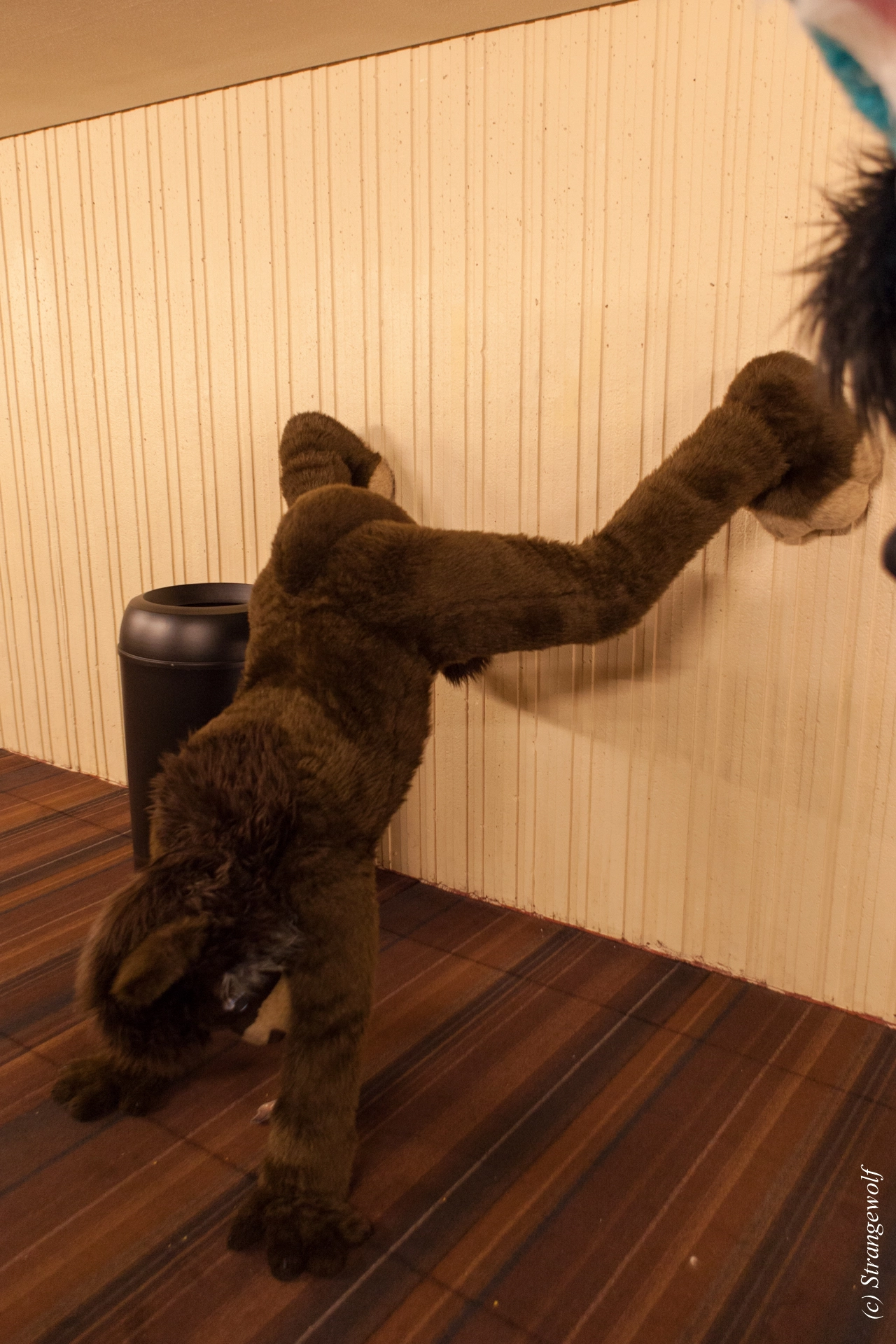 full image IMG_1482-lr19t.jpg