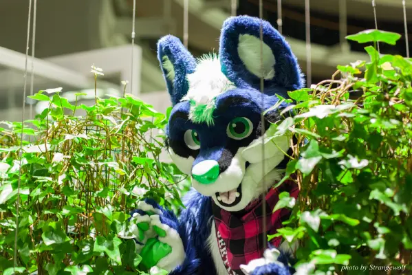 IMG_2000-lr16t.jpg of NFC/NFC2017/