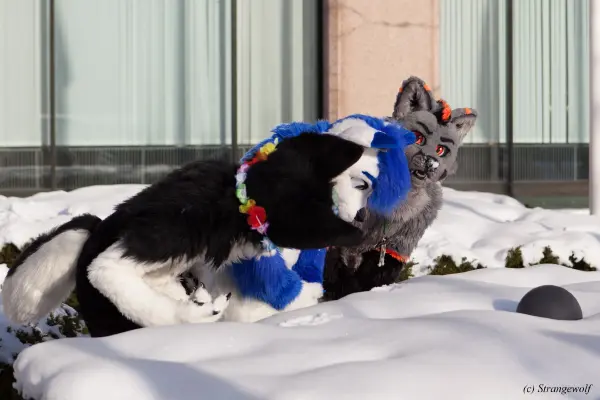 IMG_9988-lr19t.jpg of NFC/NFC2018/