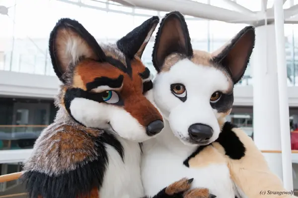 IMG_0505-lr19t.jpg of NFC/NFC2018/