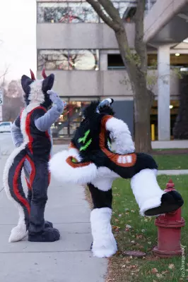 IMG_1034-lr19t.jpg of MFF/MFF2021/