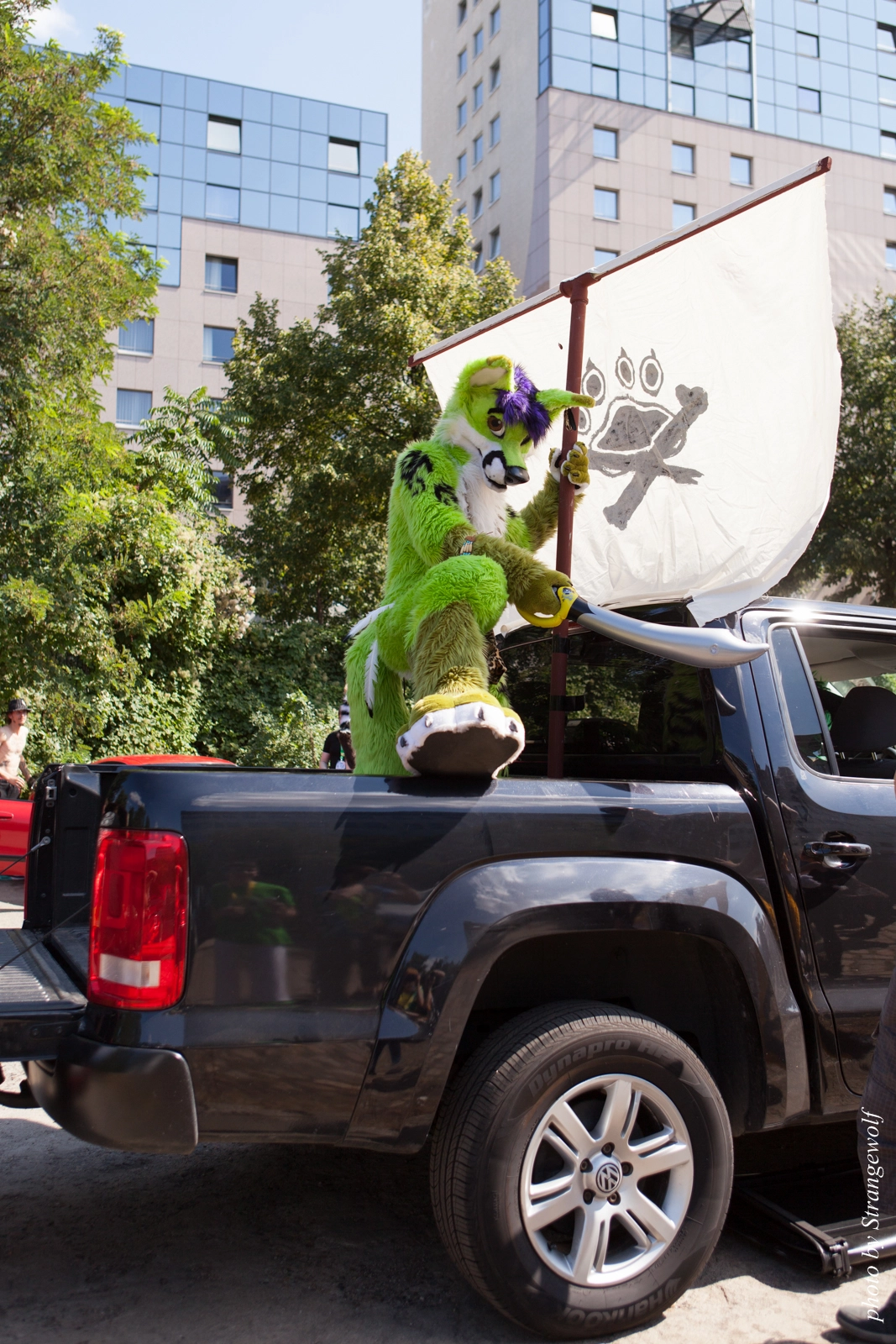 full image IMG_2238-lr16t.jpg