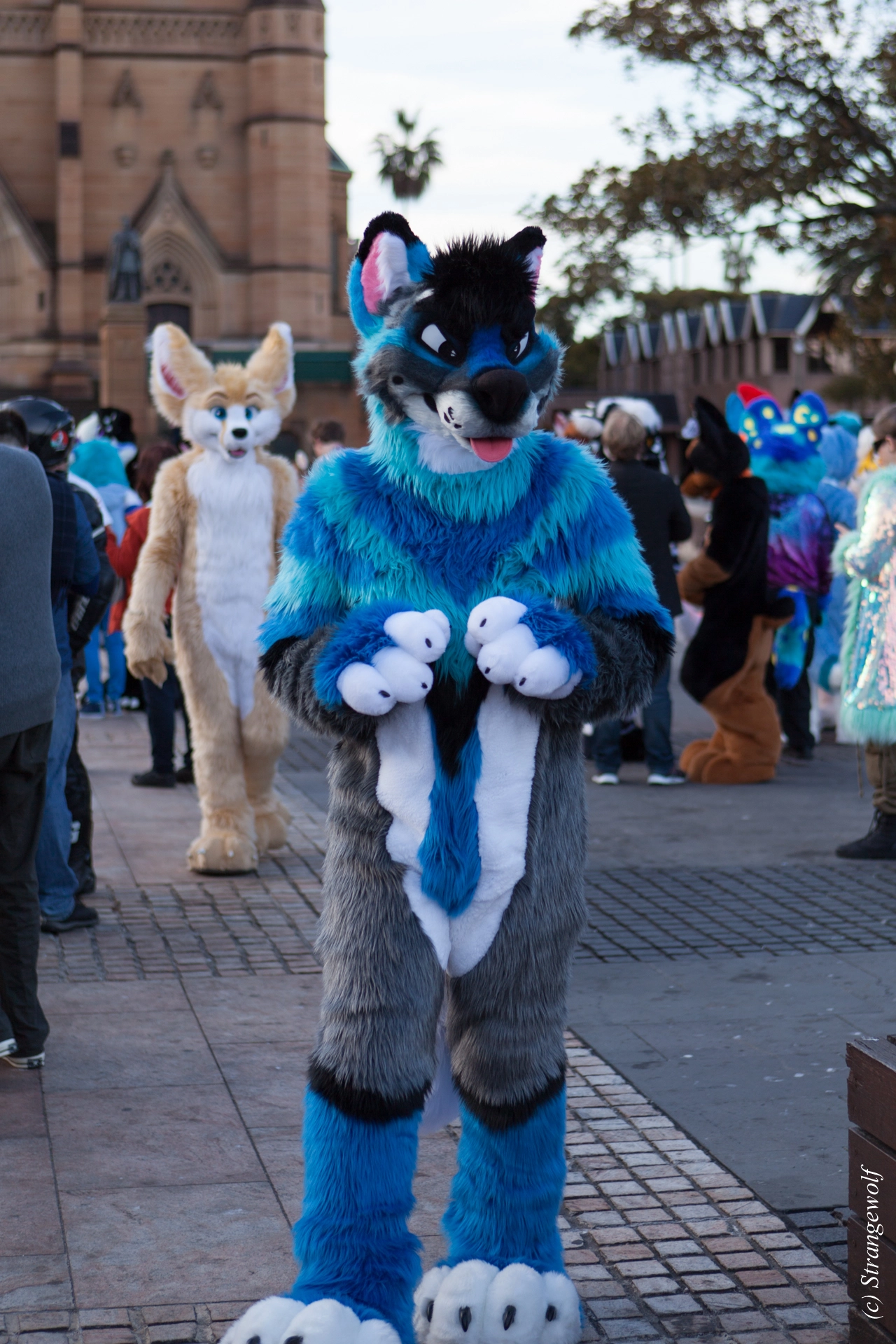 full image IMG_4680-lr19t.jpg