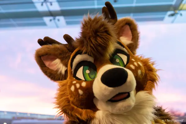 1R3A6269-lr19t.jpg of MFF/MFF2024/