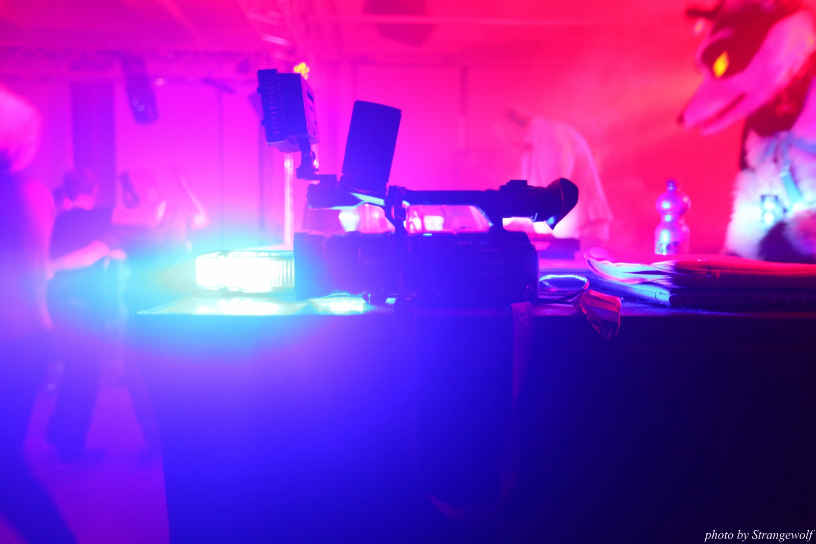 full image IMG_7720-lr16t.jpg