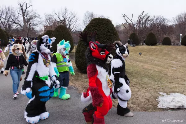 IMG_3123-lr19t.jpg of ANE/ANE2022/Suitwalk/