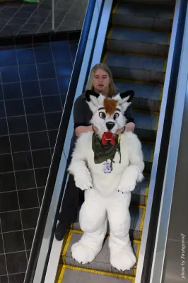 IMG_1718-lr16t.jpg of NFC/NFC2017/