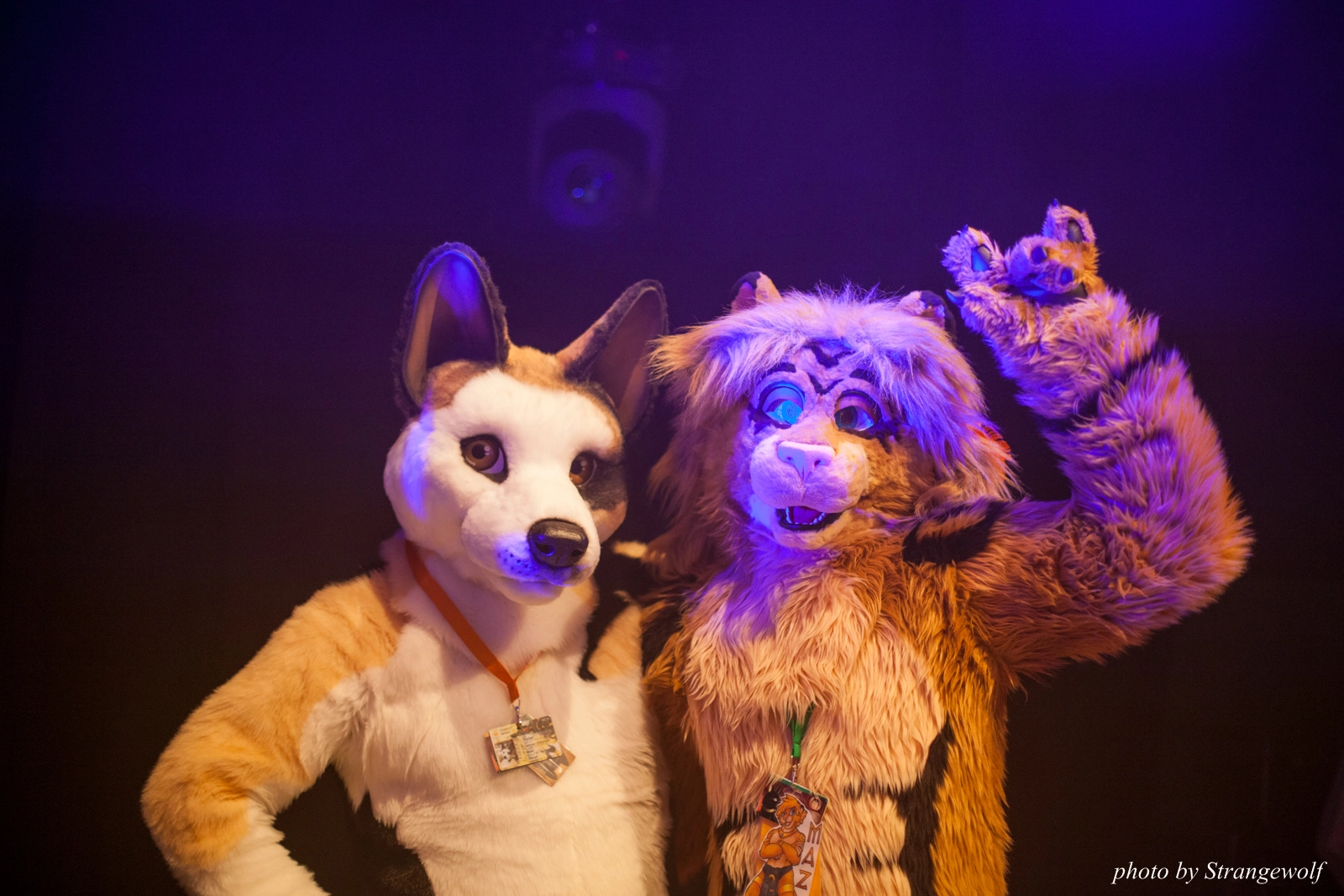 full image IMG_6776-lr16t.jpg