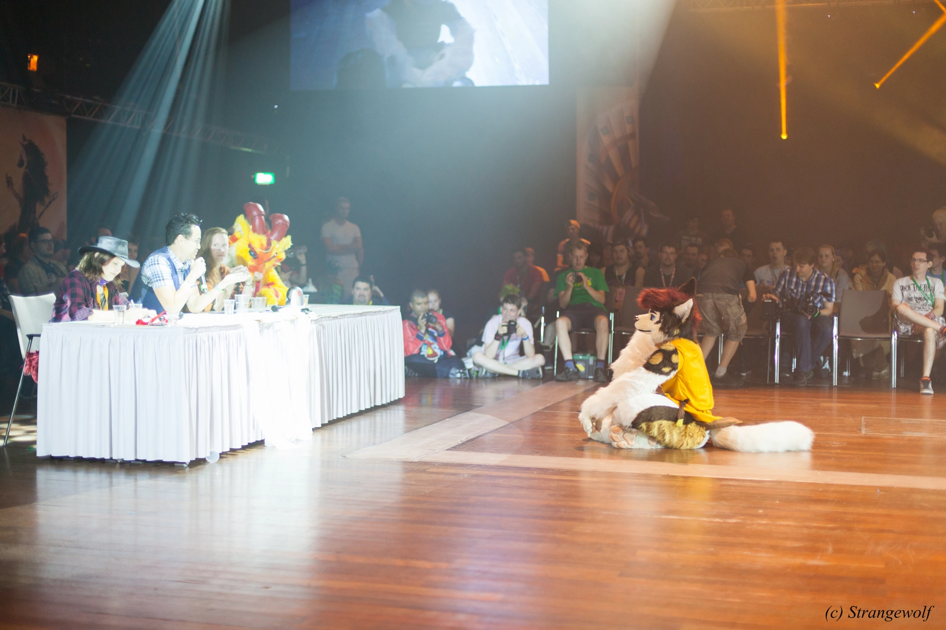 full image IMG_6522-lr19t.jpg