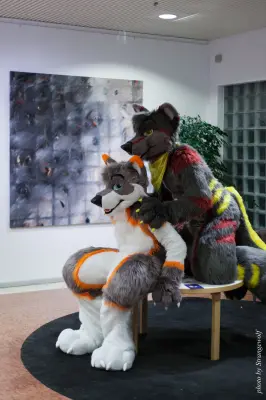 IMG_1639-lr16t.jpg of NFC/NFC2017/