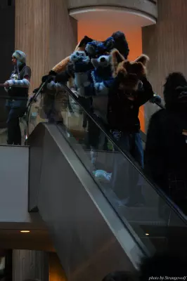 IMG_0596-lr.jpg of MFF/MFF2013/