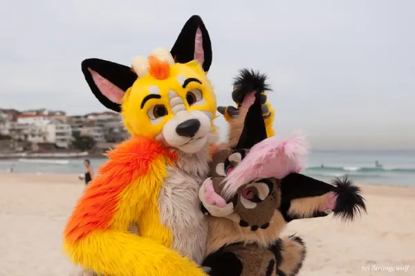 IMG_4468-lr19t.jpg of HCFC/HCFC2019/