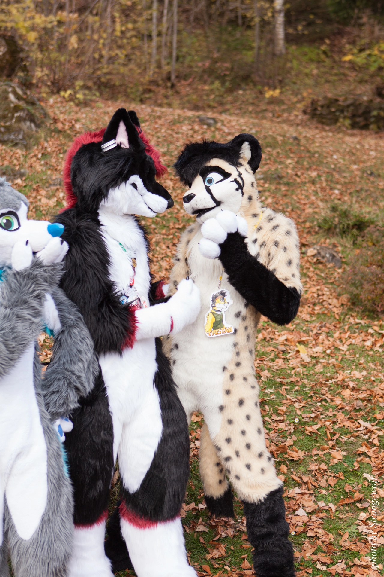 full image IMG_7895-lr19t.jpg