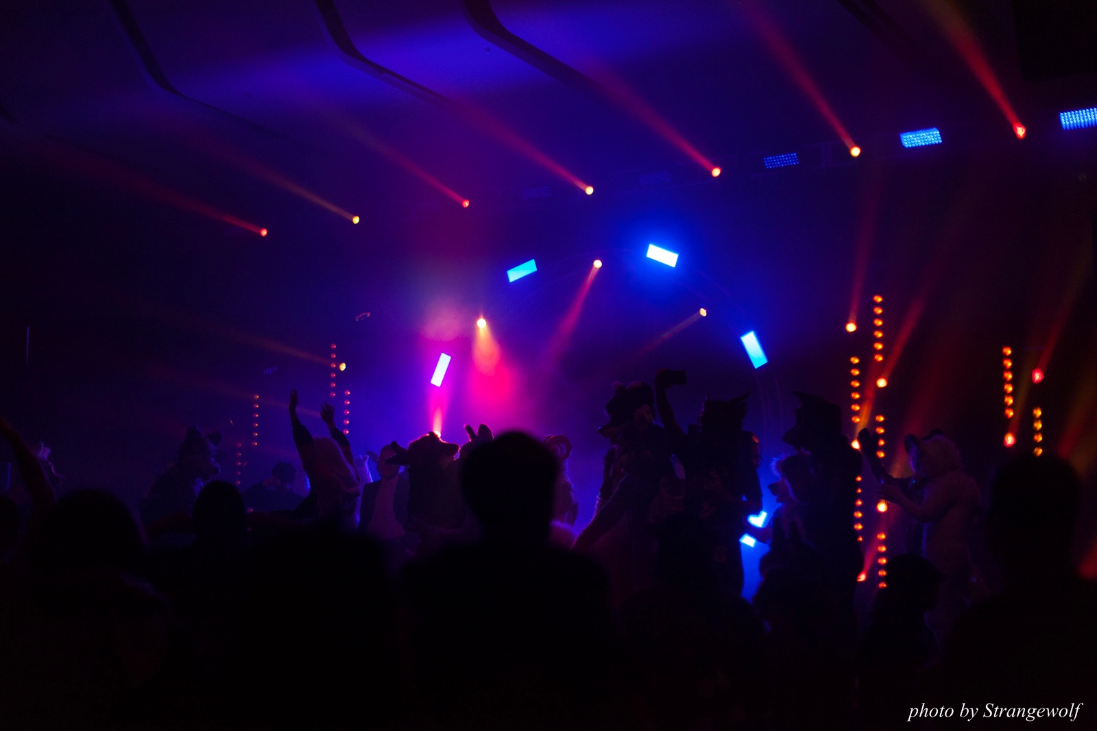 full image IMG_1360-lr16t.jpg