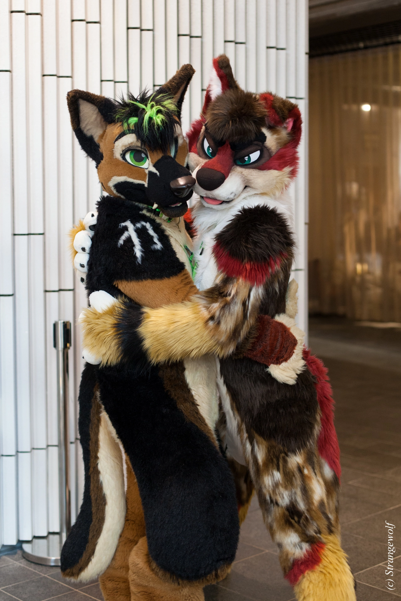 full image IMG_9376-lr19t.jpg