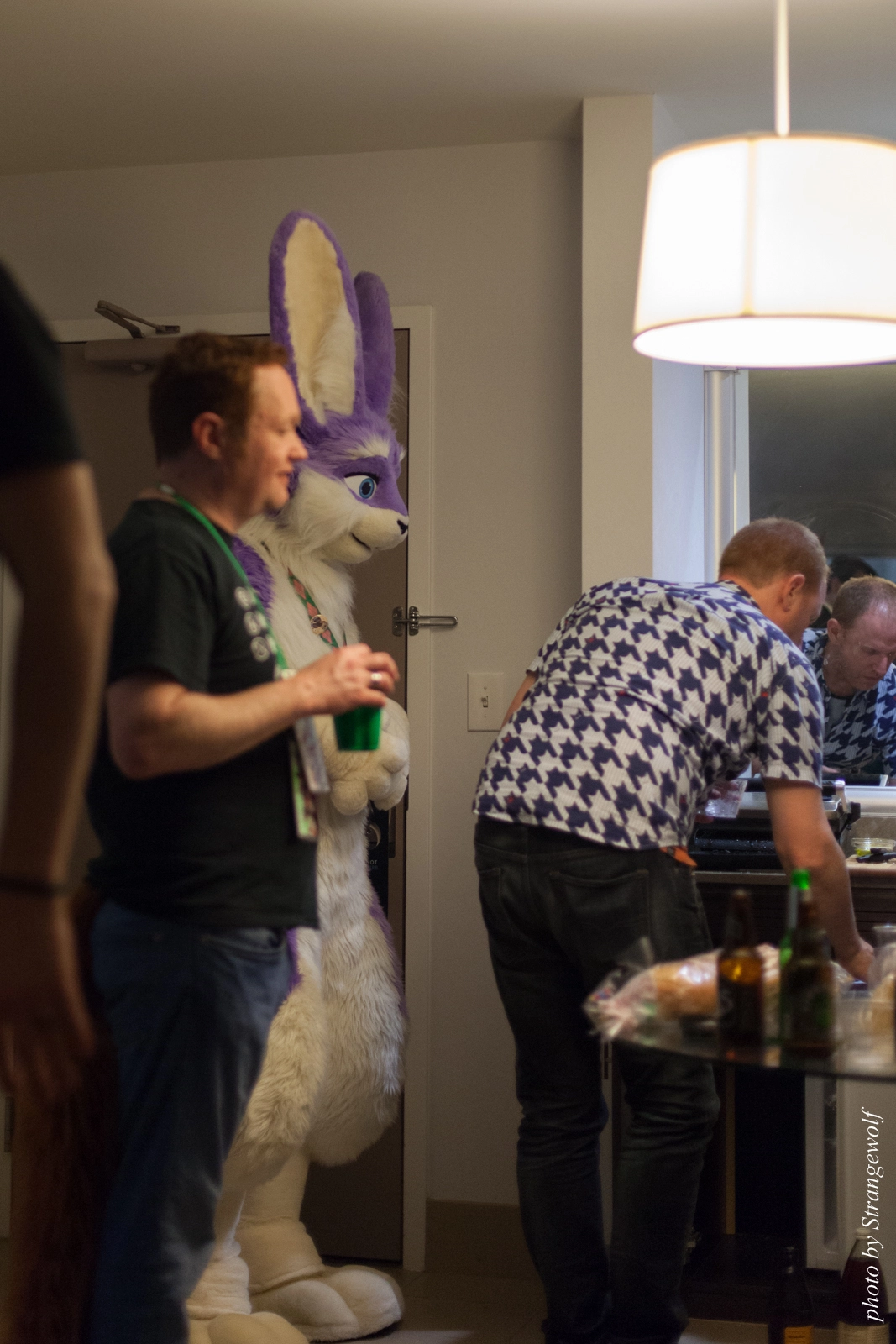 full image IMG_1341-lr16t.jpg