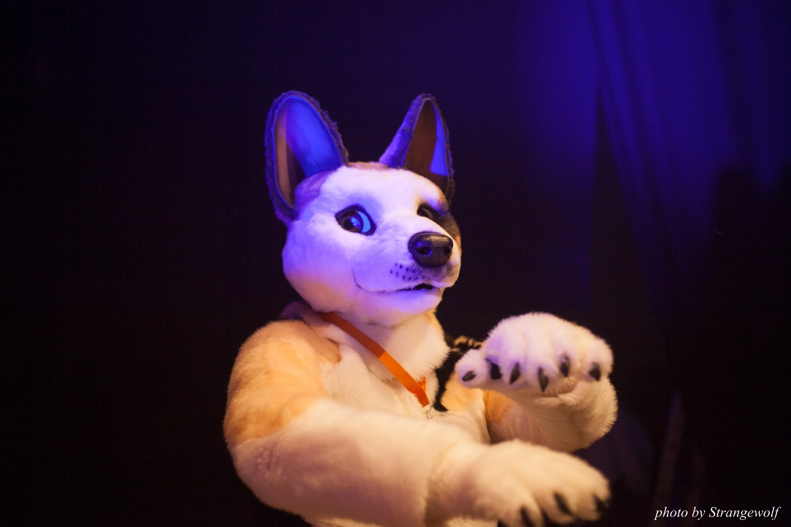 full image IMG_6741-lr16t.jpg