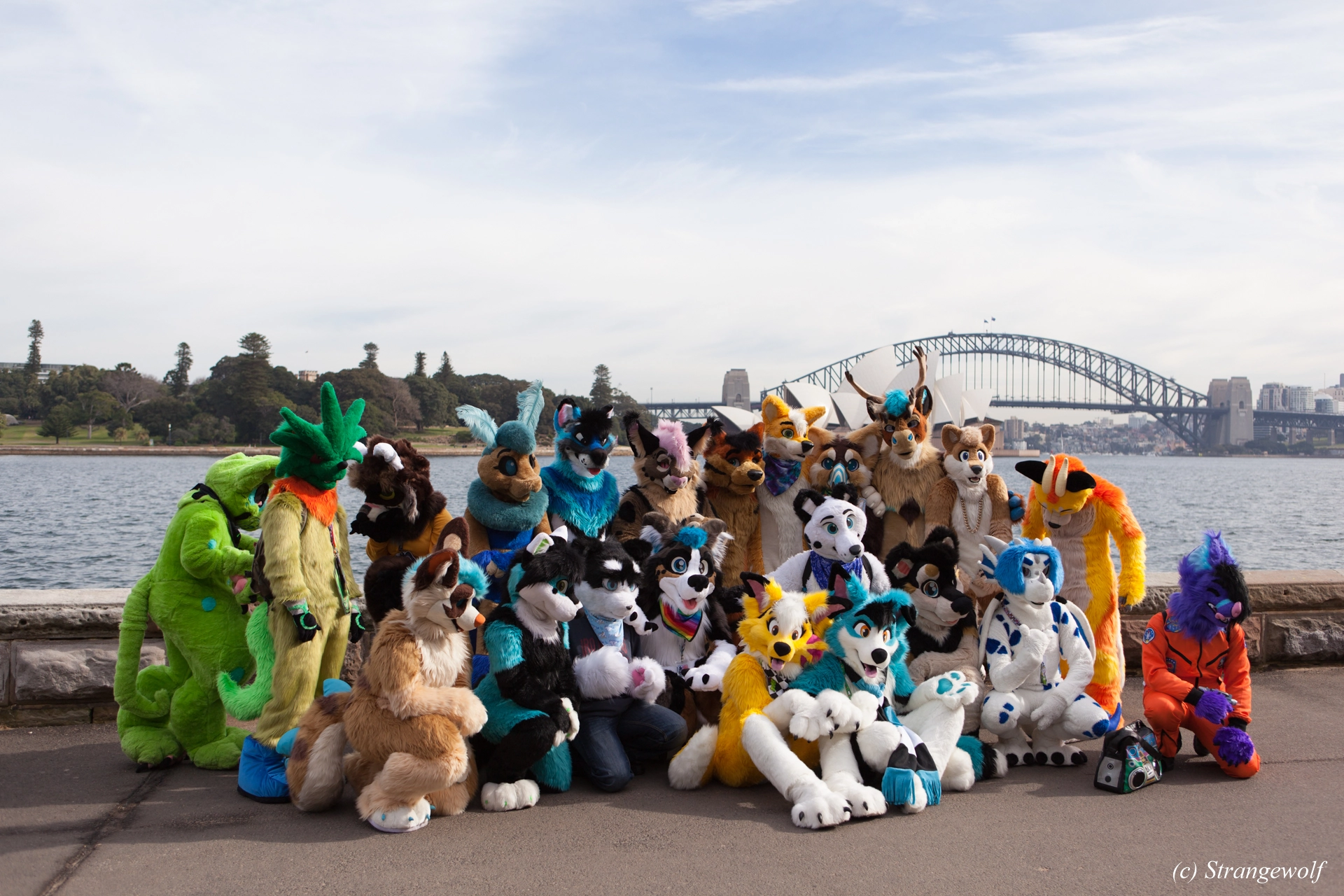 full image IMG_4251-lr19t.jpg