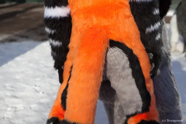 IMG_0134-lr19t.jpg of NFC/NFC2018/