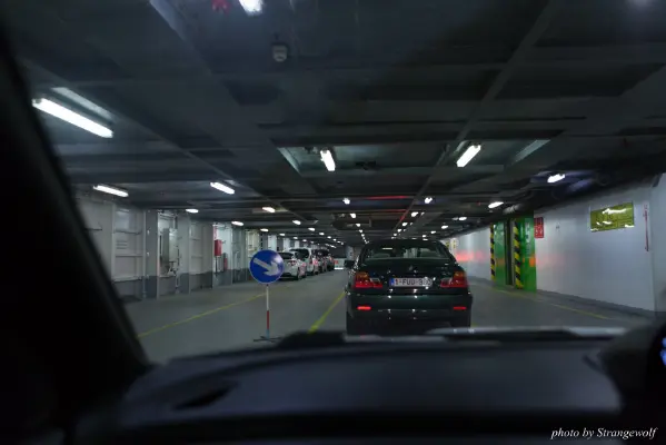 IMG_7112-lr16t.jpg of CFZ/CFZ2016/