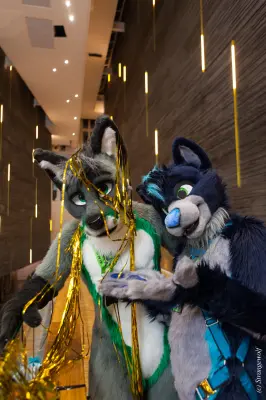 IMG_8326-lr19t.jpg of NFC/NFC2020/