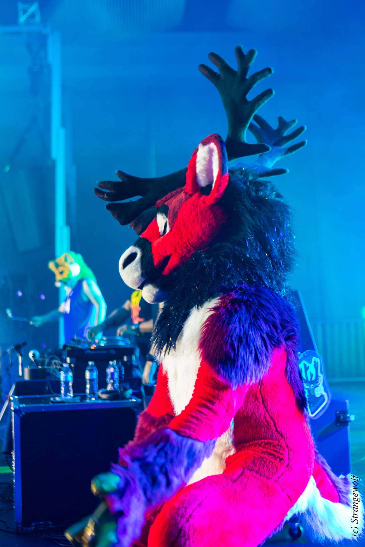 full image 1R3A5112-lr19t.jpg