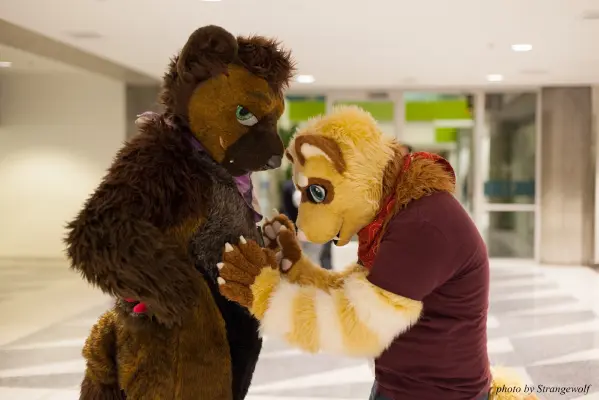 IMG_1114-lr16t.jpg of FC/FC2017/