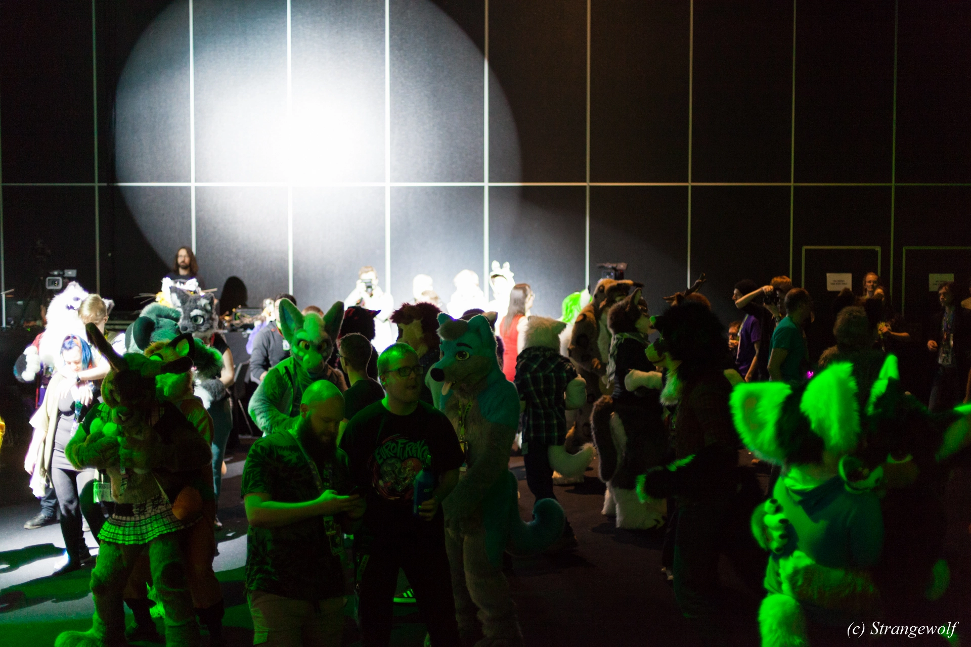 full image IMG_9318-lr19t.jpg