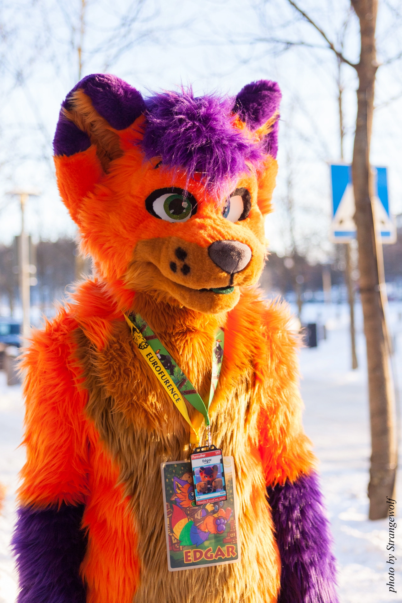 full image IMG_9178-lr19t.jpg