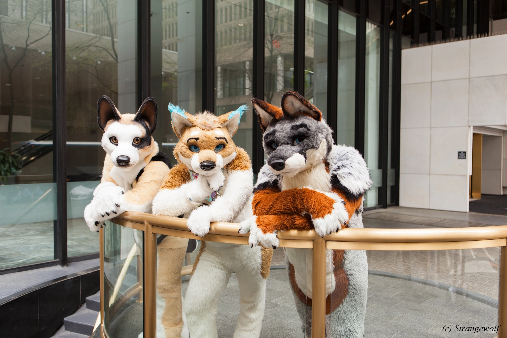 full image IMG_1681-lr19t.jpg