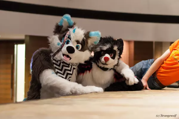 IMG_7101-lr19t.jpg of MFF/MFF2018/