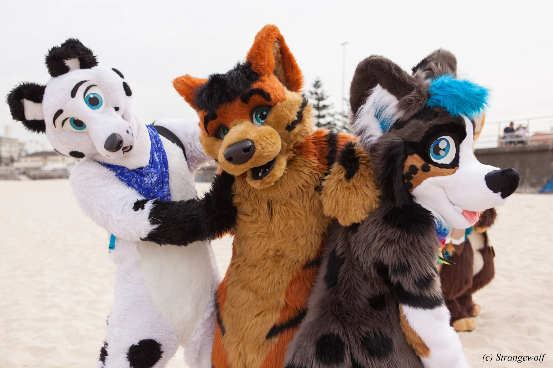 full image IMG_4448-lr19t.jpg