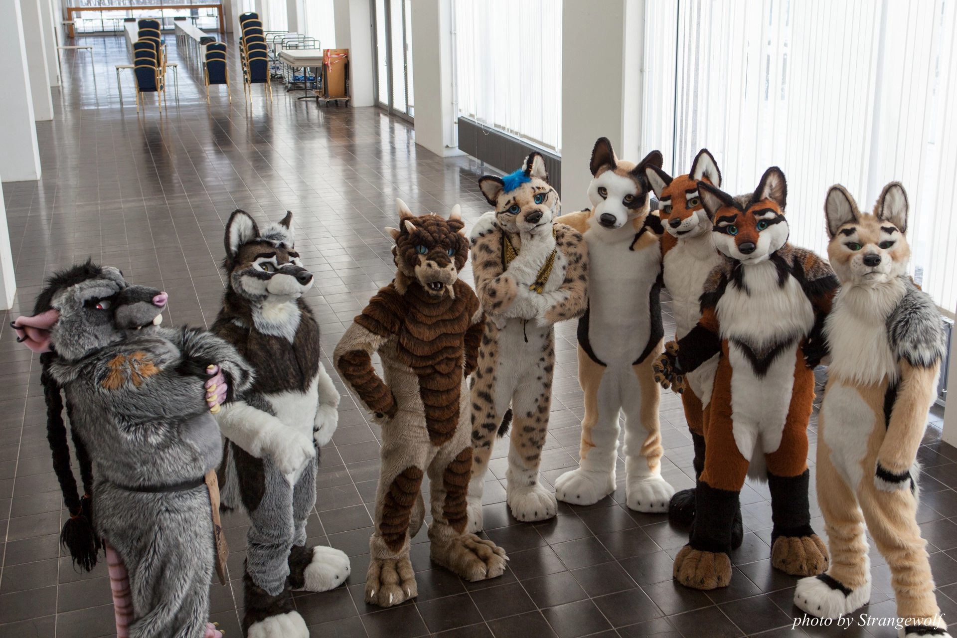 full image IMG_0387-lr19t.jpg