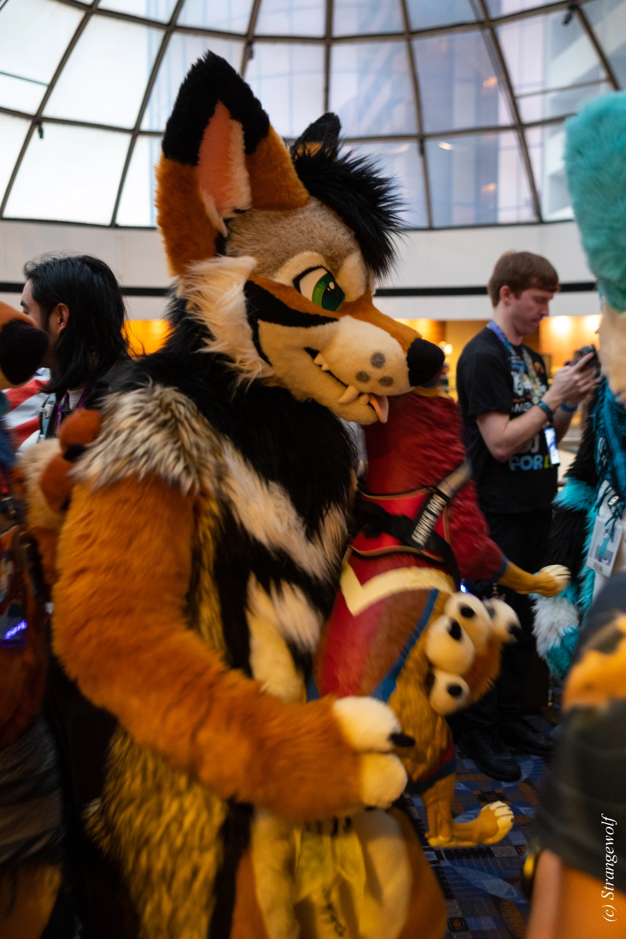 full image 1R3A0233-lr19t.jpg