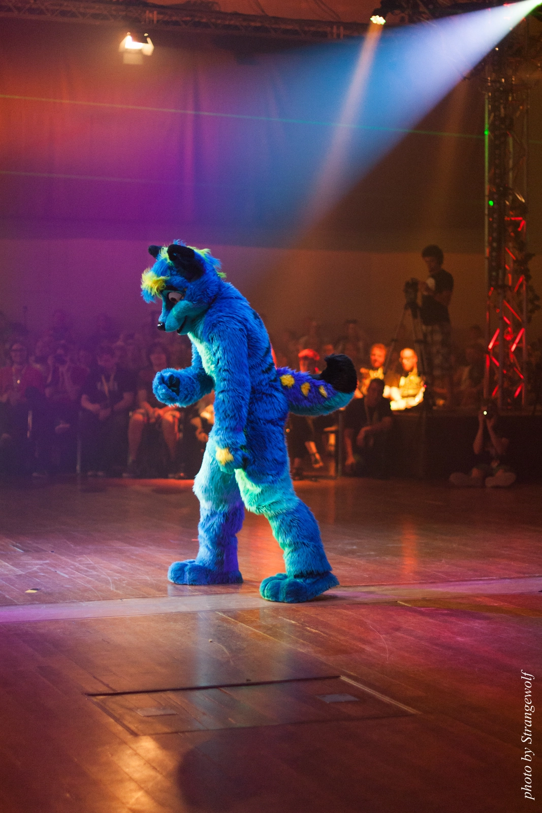 full image IMG_2791-lr16t.jpg
