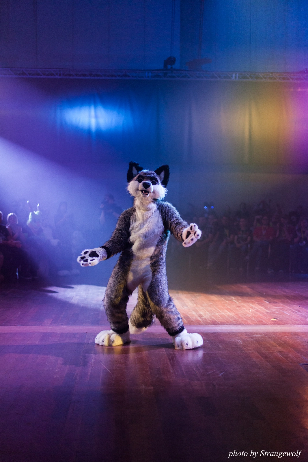full image IMG_2950-lr16t.jpg