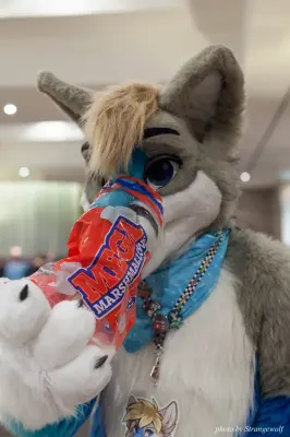 IMG_7171-lr16t.jpg of CFZ/CFZ2016/