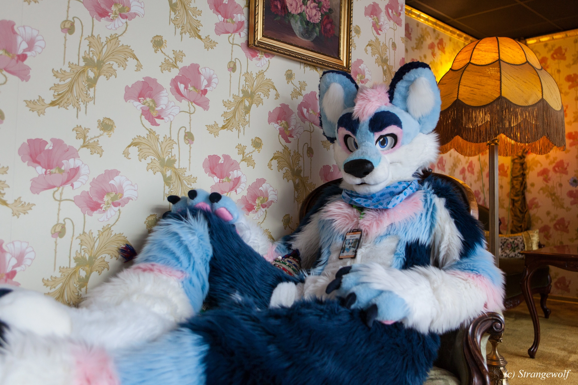 full image IMG_8447-lr19t.jpg