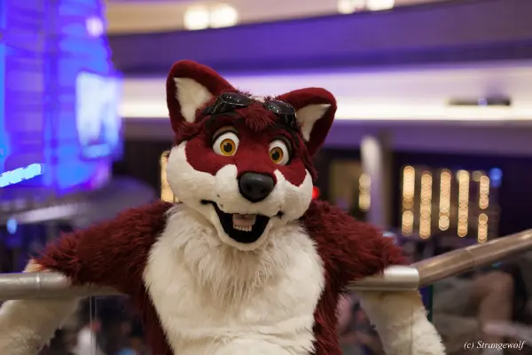 IMG_1393-lr19t.jpg of FWA/FWA2018/