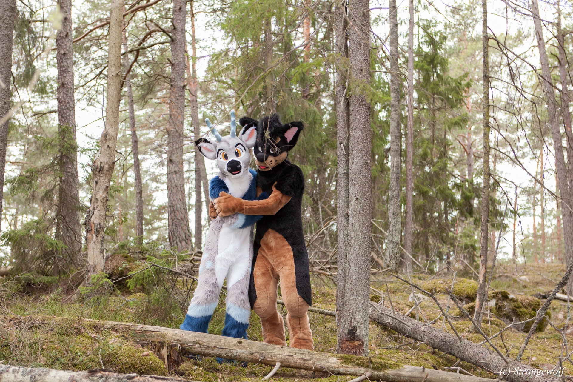 full image IMG_8531-lr19t.jpg