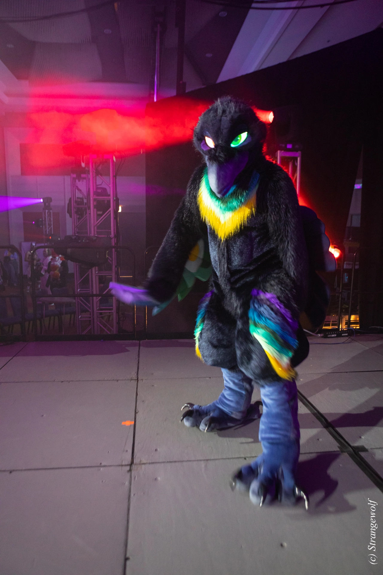 full image 1R3A0885-lr19t.jpg