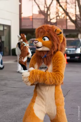IMG_8208-lr19t.jpg of MFF/MFF2017/
