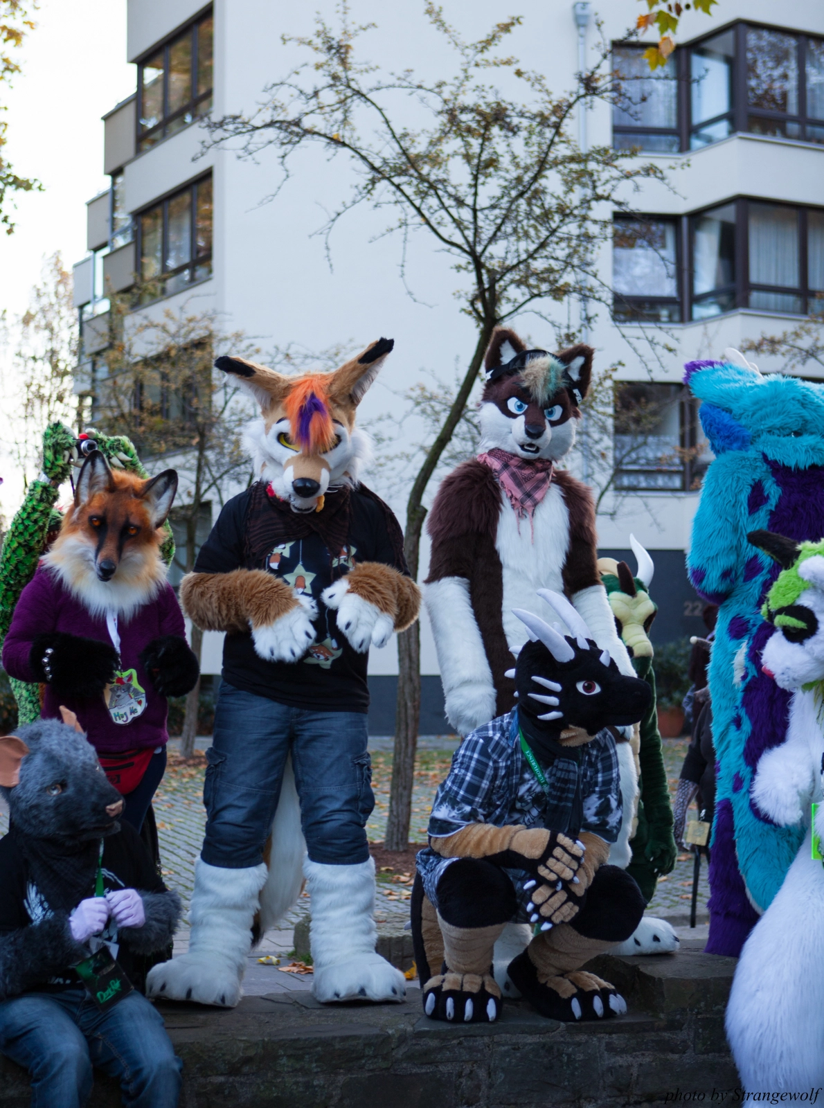 full image IMG_5293-lr16t.jpg