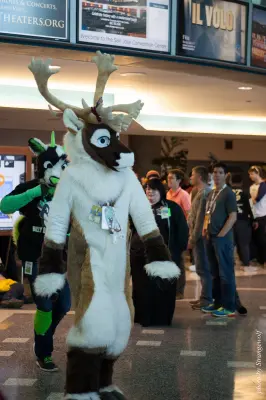 IMG_1034-lr16t.jpg of FC/FC2017/