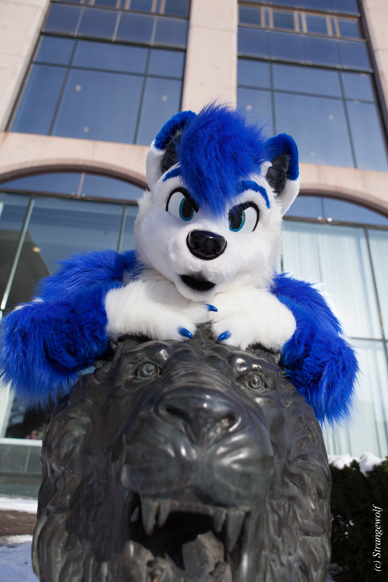 full image IMG_9761-lr19t.jpg