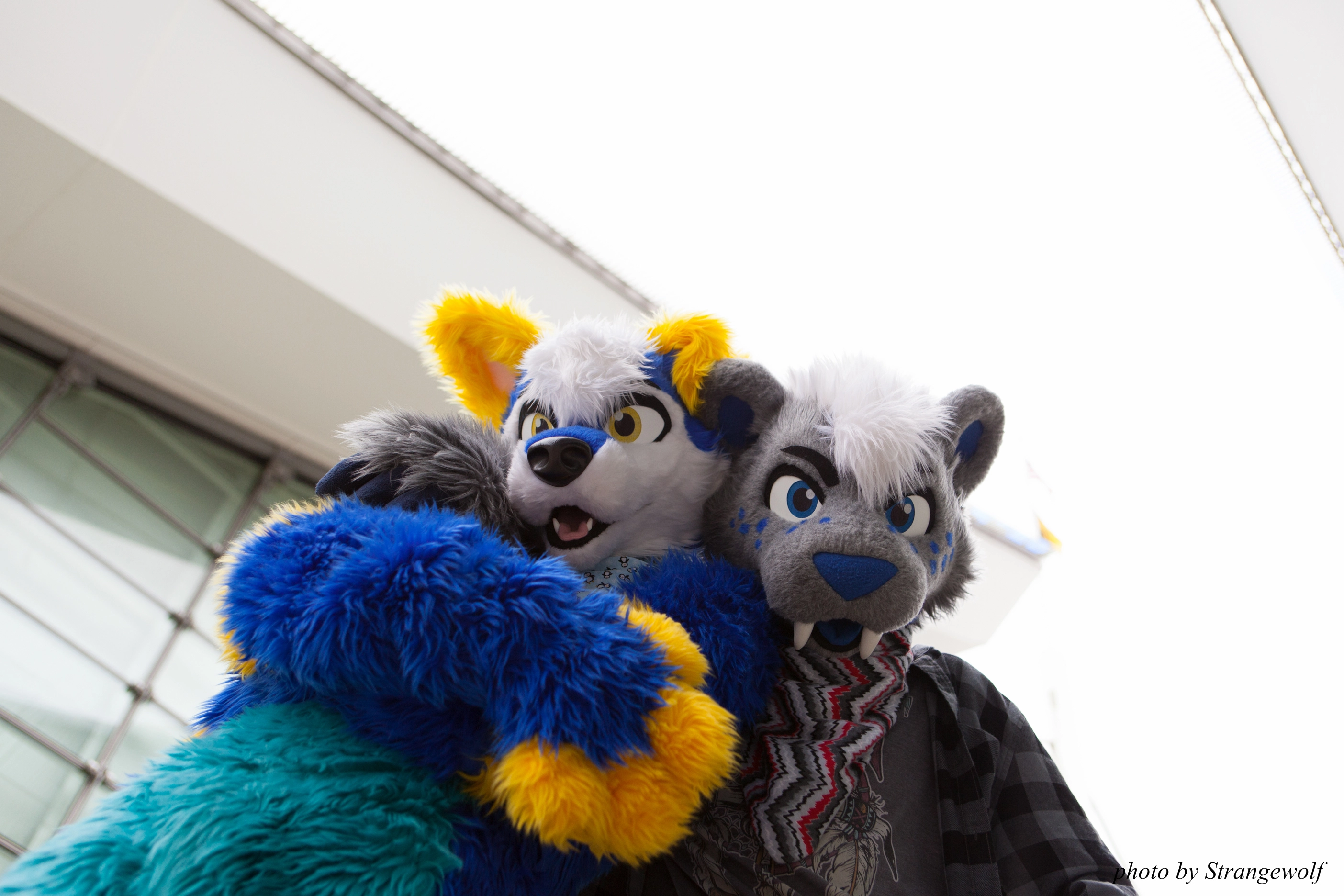 full image IMG_8229-lr28t.jpg